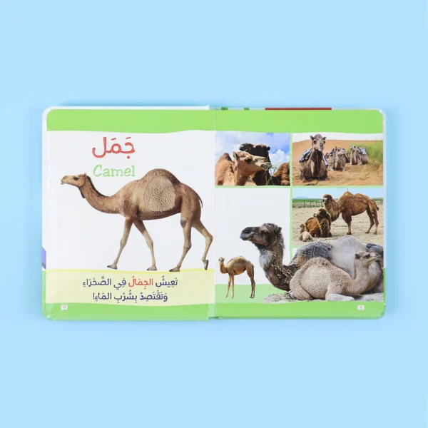 ⁦كتاب مونتيسوري الأول: الحيوانات بالملمس⁩ - الصورة ⁦2⁩